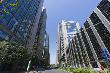 Fototapeta premium 東京都市風景 丸の内 大手町 オフィス街 超高層ビル 見上げる 新緑 春 