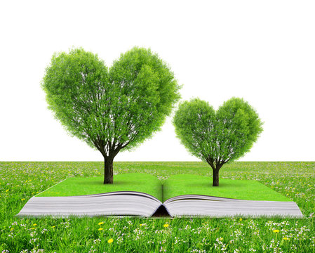 Book with a trees in the shape of heart in grass