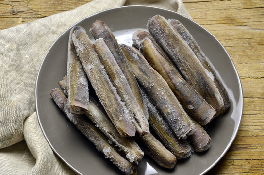 Solen marginatus Lingueir&atilde;o Grooved Razor Shell Cannolicchio Longueir&oacute;n vello Datil ildodun אבובית ישרה Messchede Cappalunga Couteau-gaine Peixe Navalha Musselart Muergo Couteau-silique Canello Canol