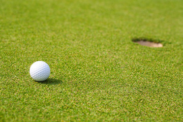 golf ball on the green grass