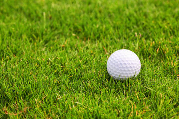 Golf ball on the green