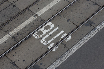 Fototapeta premium bus lane - word written on asphalt street