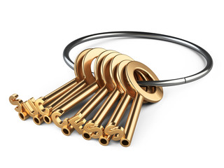 Golden keys to success on a rin