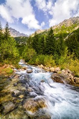 Naklejka na ściany i meble Mountain stream in the Polish mountains