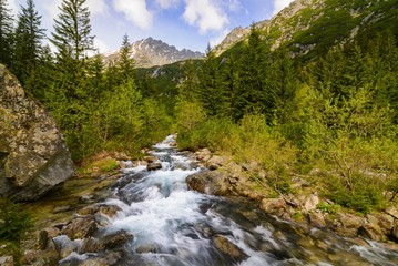 Fototapeta na wymiar Mountain stream in the Polish mountains