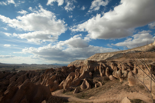 stone desert