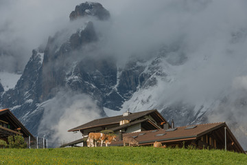 In the valley of Grindelwald, Switzerland