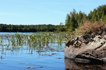 landscape stone on the lake