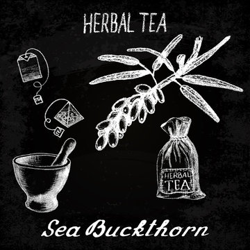 Sea buckthorn herbal tea. Chalk board set of vector elements
