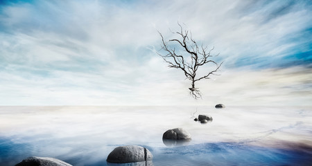 Beautiful sea level with fantasy sky and stone, dead tree for composite backgrounds, zen concept © voyata