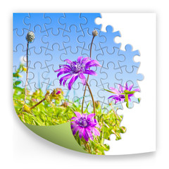 Spring concept in puzzle shape on white background