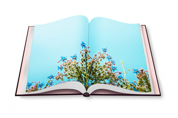Spring concept - flowers on opened photobook