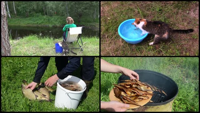 Woman angling with cat pet. Smoked fish. Footage clips collage.