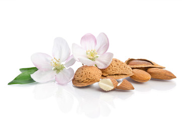 Almonds with leaves and flowers close up on the white background
