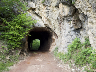 Forest path leading to a tunnel deep in the mountain. Cave. Tunn