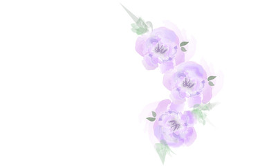 Flower watercolor