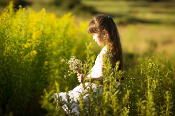 Fototapeta premium Girl picking flowers in a field