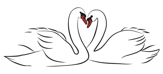 Пара лебедей