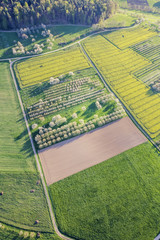 Fototapeta premium cherry blossom ballooning, fränkische schweiz, oberfranken, bayern