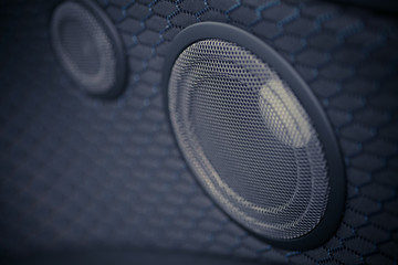 Car speaker detail
