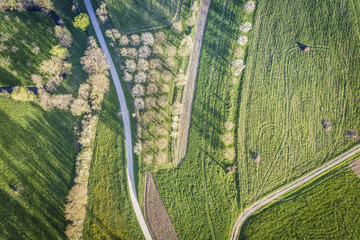 cherry blossom ballooning, fränkische schweiz, oberfranken, bayern