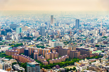 Naklejka premium Aerial view of Tokyo
