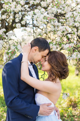Fototapeta premium Young couple kissing in blooming spring garden. Love and romantic theme.