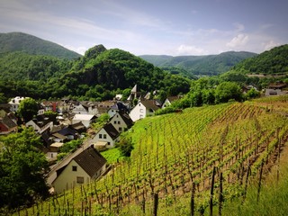 Dorf zwischen Weinbergen