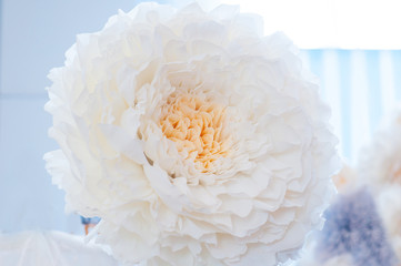 beautiful paper white flower for wedding decoration
