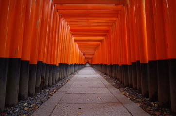 Fototapeta premium 早朝の伏見稲荷大社千本鳥居
