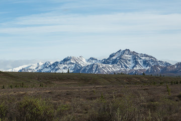 Denali's Mountains