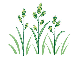 wildflower, weeds, weed