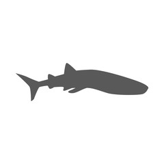 Marine Predator Shark Design Flat