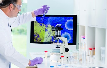 Hygienekontrolle im Labor mit Digitalmikroskop
