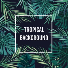 Fototapeten Summer tropical hawaiian background with palm tree leavs and exotic plants © Ms.Moloko