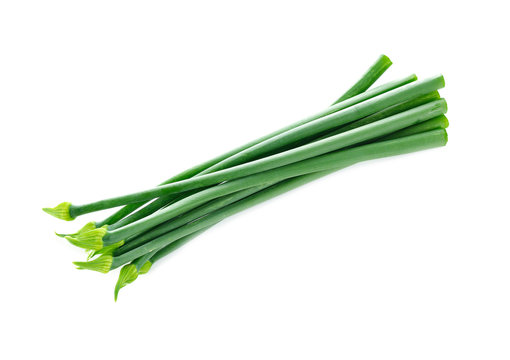 Chives flower or Chinese Chive isolated on white background.