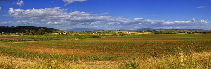 Fototapeta premium Toscana landscape, Italy