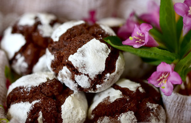 chocolate cakes in powdered sugar