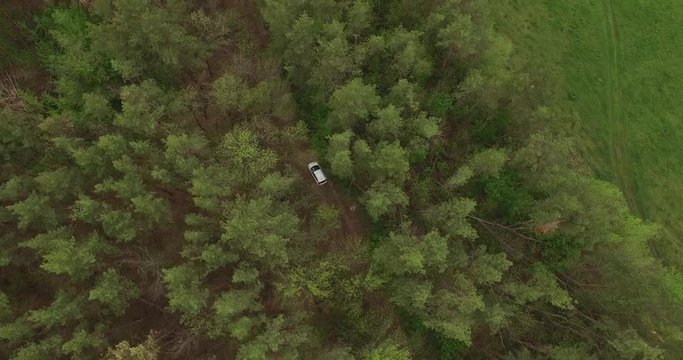 The car in the woods