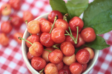 Fresh red cherries
