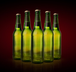 Cold wet beer bottles