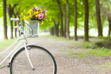 Vintage bicycle with flowers in basket at the park