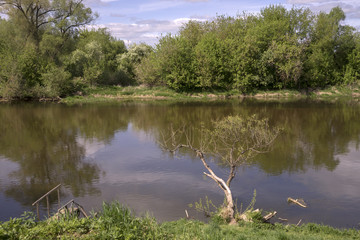 В весенний день у реки.