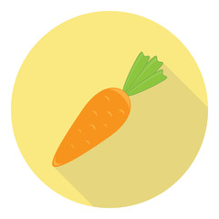 Carrot Plant Vegetable