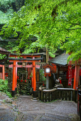 Fototapeta na wymiar Fushimi Inari Taisha Kyoto