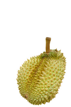 Durians, King of fruit isolated on white backgroud