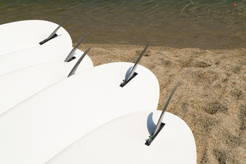 Five white windsurf boards