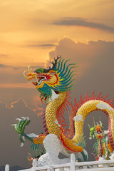 Fototapeta premium beautiful chinese dragon at sunset time thailand