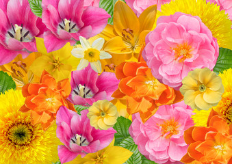 Card, floral background in cheerful colours