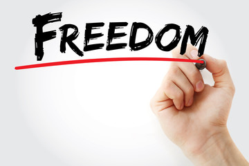 Hand writing Freedom with marker, business concept